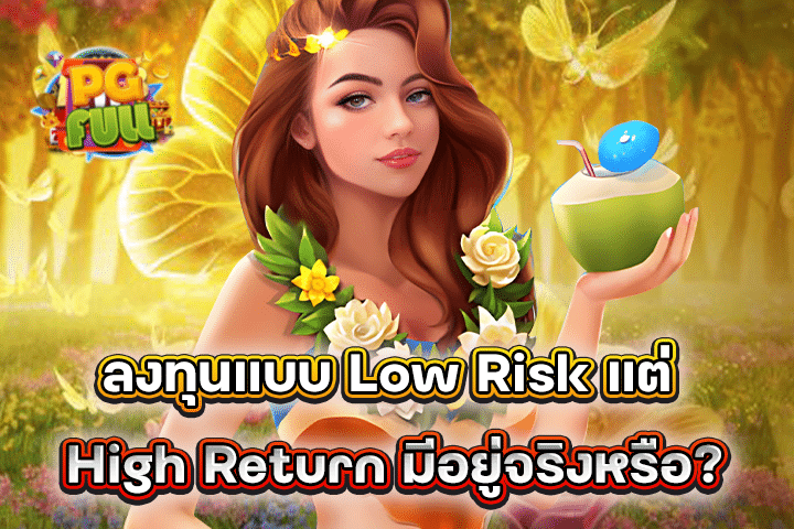 ลงทุนแบบ Low Risk แต่ High Return มีอยู่จริงหรือ?